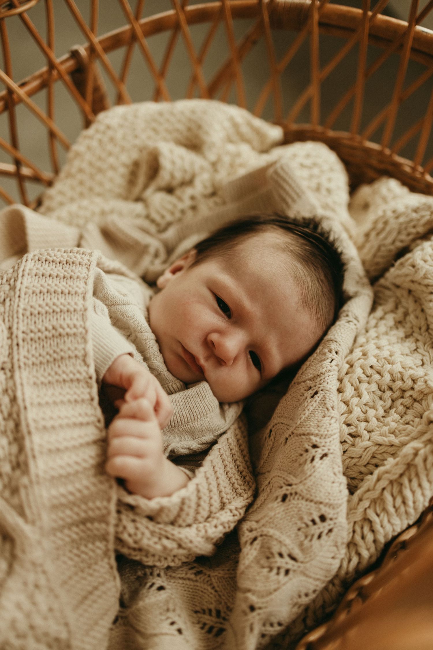 geelong melbourne newborn maternity family couples photographer photography