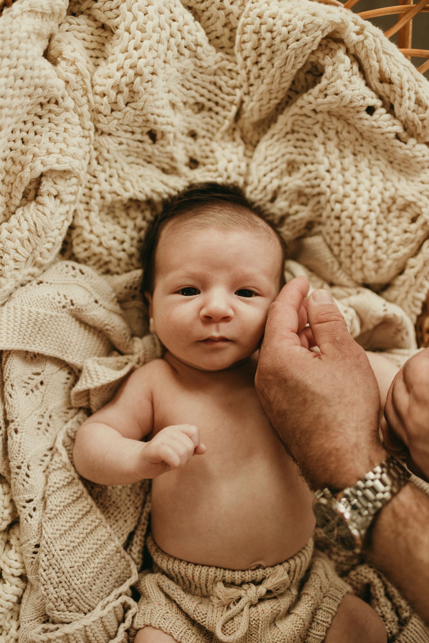 geelong melbourne newborn maternity family couples photographer photography