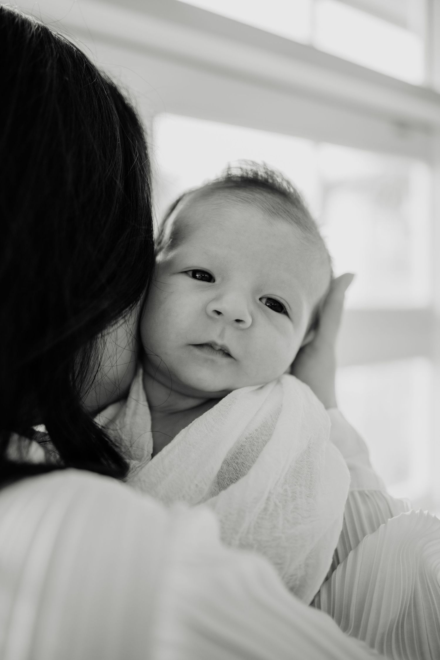 geelong melbourne newborn maternity family couples photographer photography