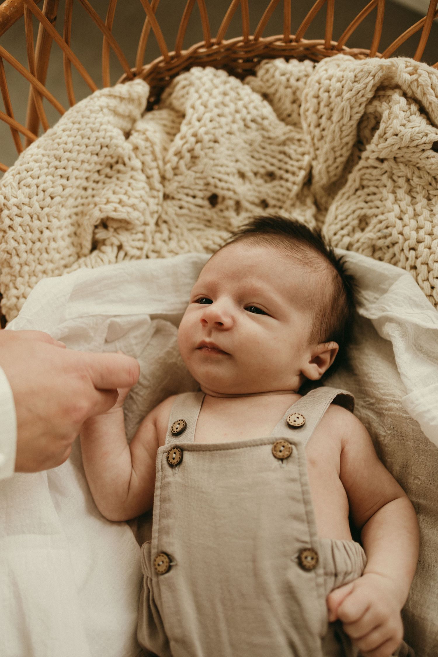 geelong melbourne newborn maternity family couples photographer photography