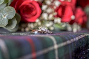 Wedding Session
