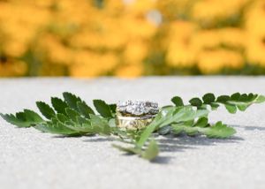 Wedding Rings