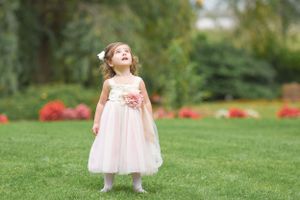 Wedding Session