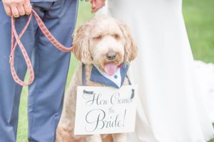 Wedding Session