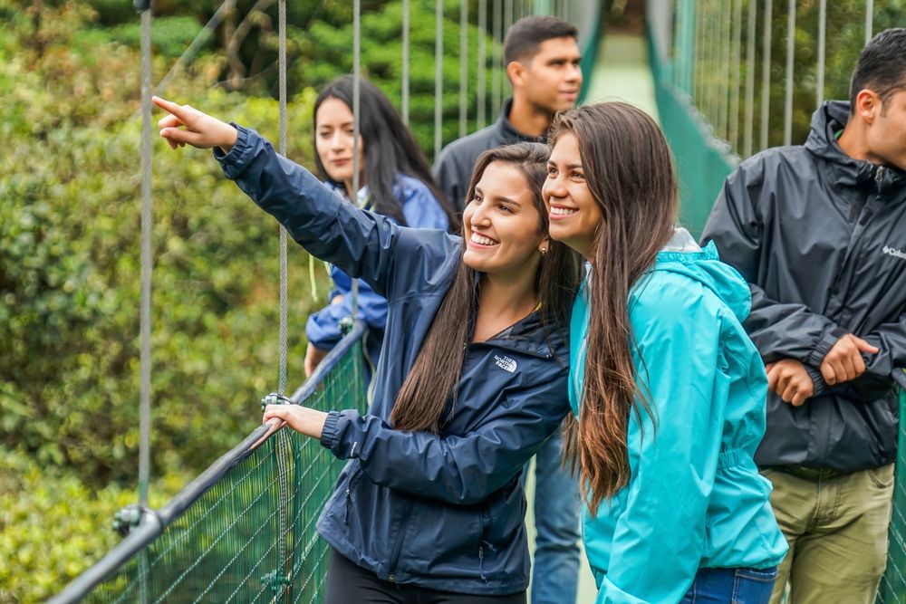 Group of tourists pointing and enjoying view from rainforest hanging bridge.