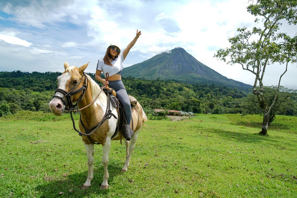 White horse with majestic volcano vista in grassy meadow landscape.