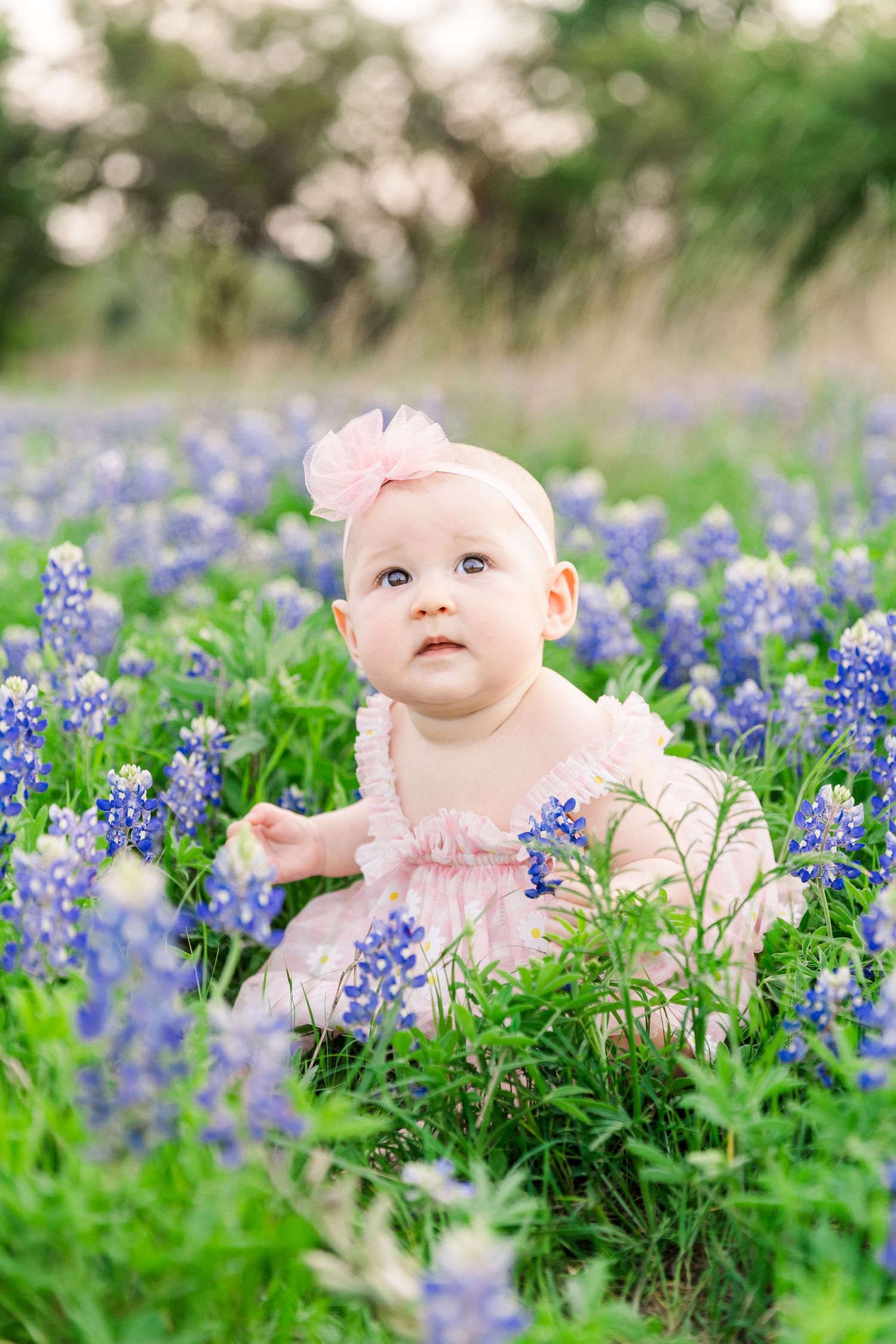 Baby in bluebonnet flowers