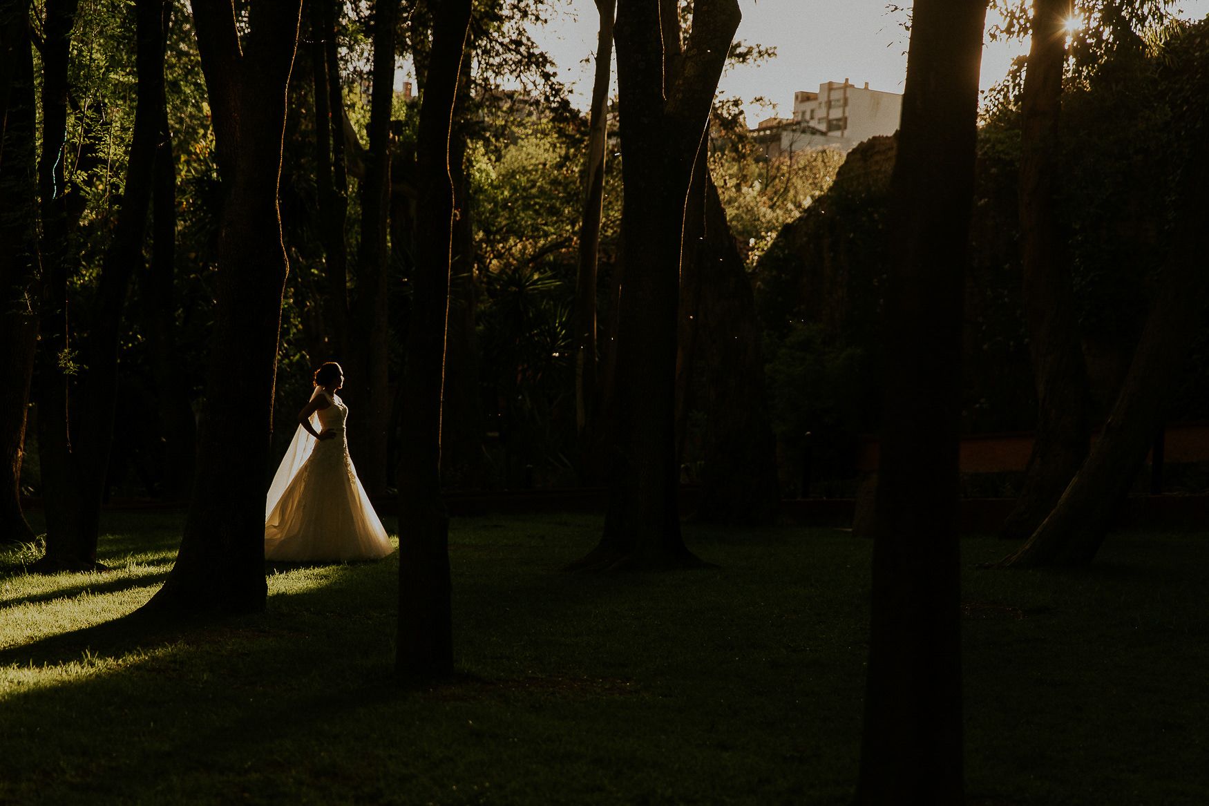A white wedding dress silhouetted against sunlit trees in a forest setting at golden hour.
