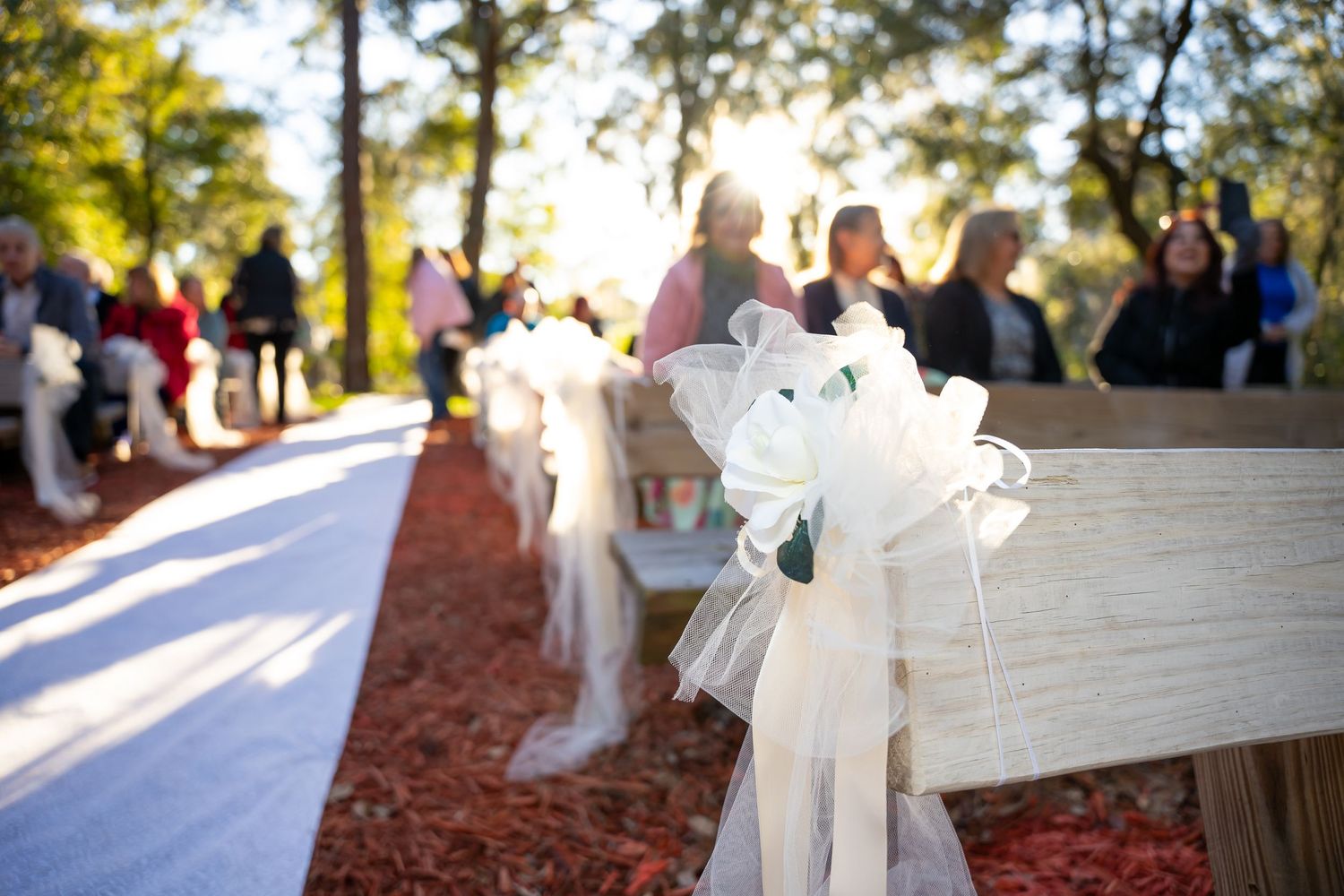 Wedding ceremony setup with white chairs arranged in rows under towering oak trees.