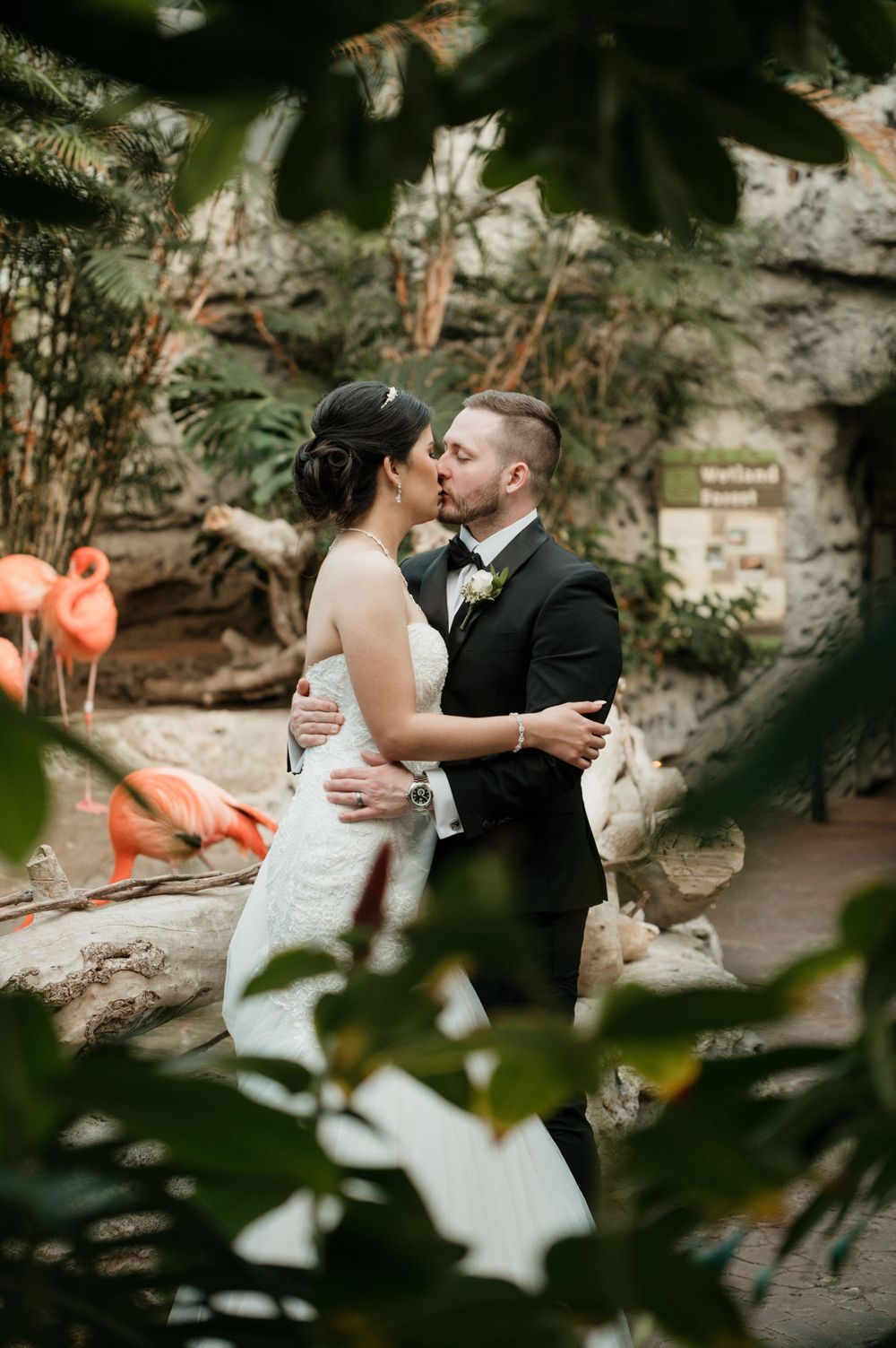 Texas state aquarium wedding bride and groom kissing corpus christi wedding photographer