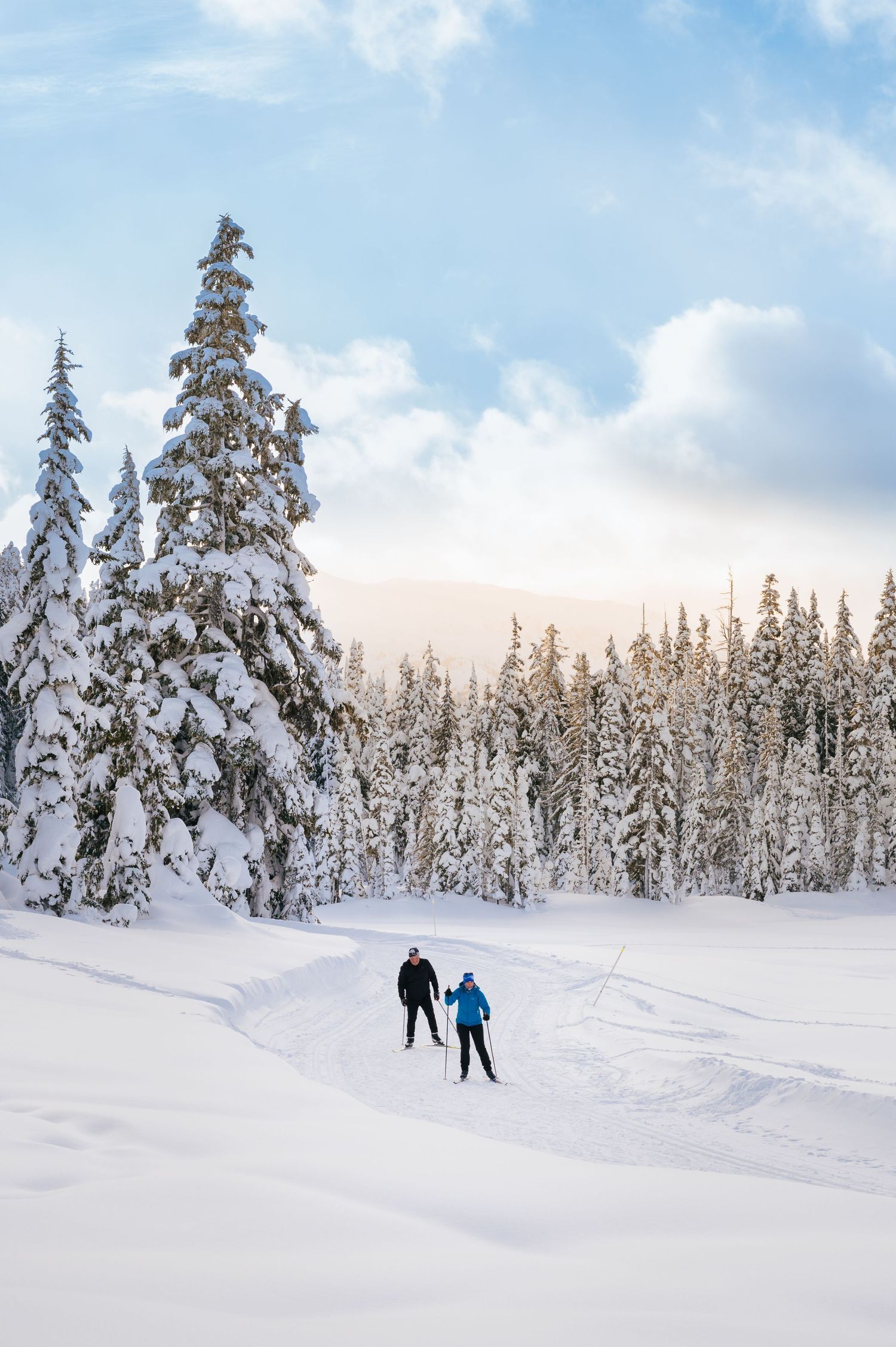 Skiing on Vancouver Island Driftwoods Photography