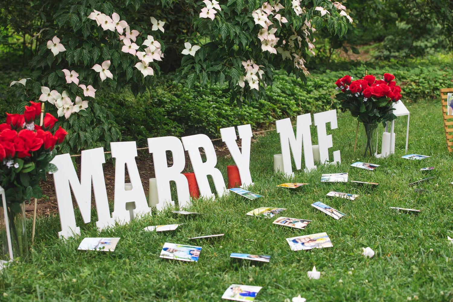 Thoughtful proposal props including "Marry Me" sign, red roses, and pictures scattered around on the grass.