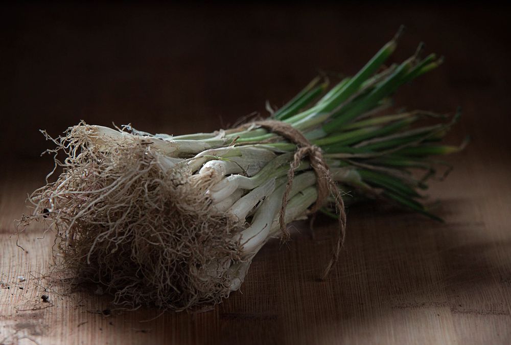 A bundle of green onions tied with twine rests on a bamboo cutting board.
