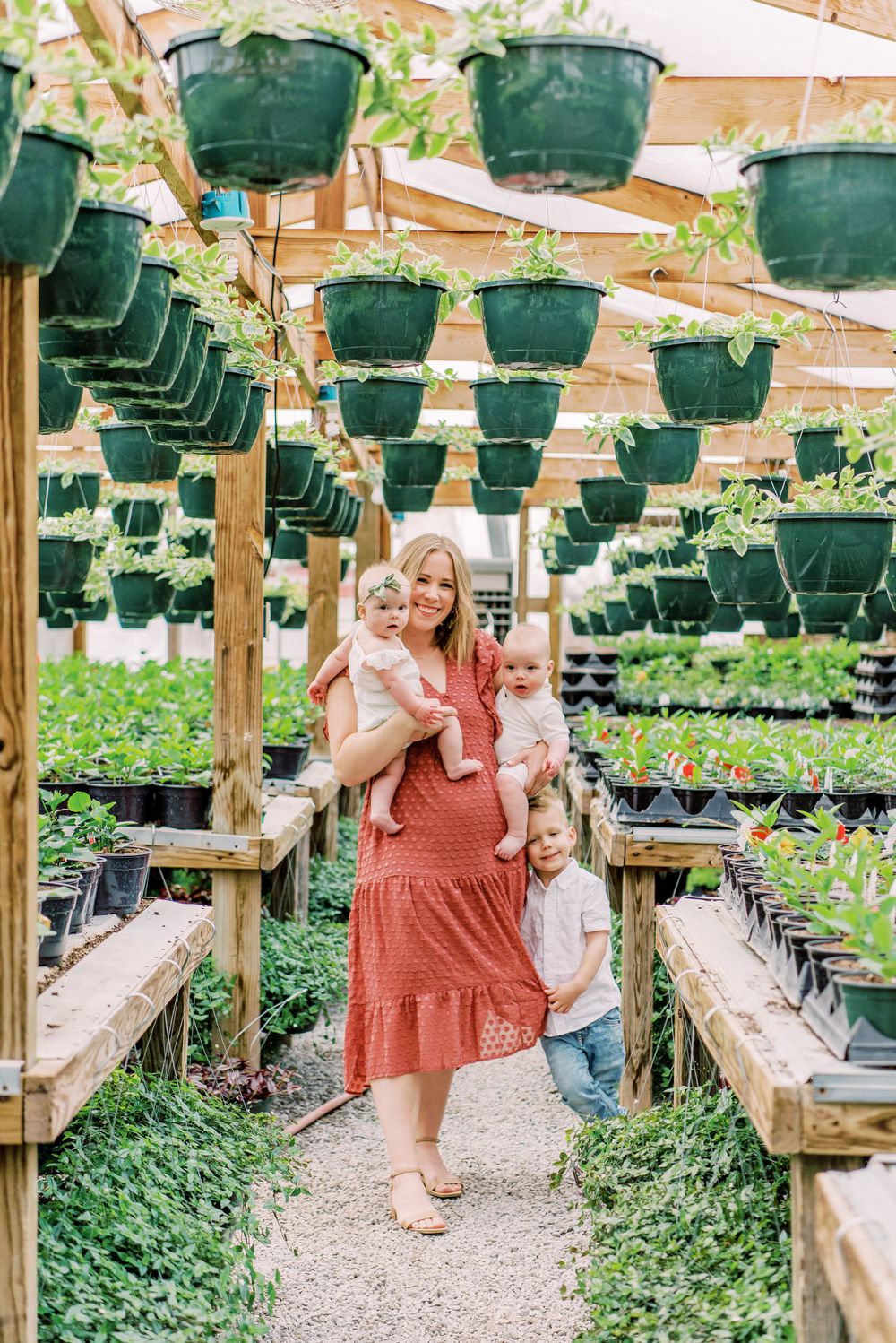 A greenhouse pathway lined with hanging baskets displays vibrant plants growing beneath a rustic wooden pergola structure.