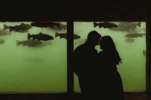 Silhouettes of a couple against green aquarium background with fish swimming.