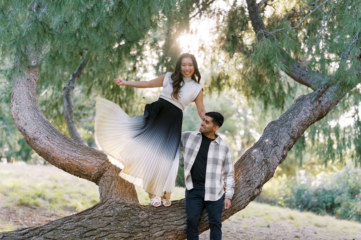 Playful engagement photo with woman sitting in tree while partner stands below.