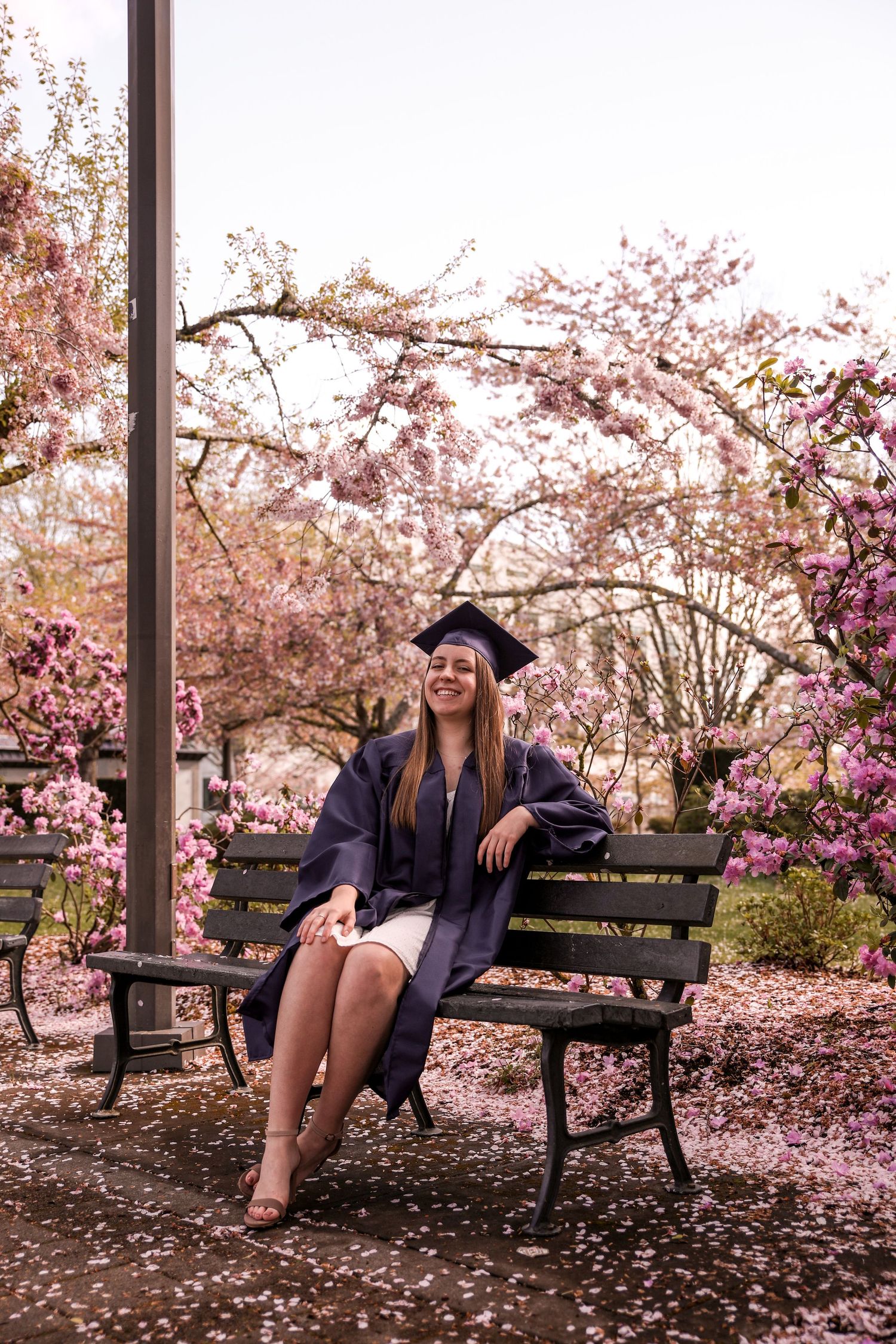 Graduate in cap and gown sitting on bench surrounded by blooming cherry blossoms.
