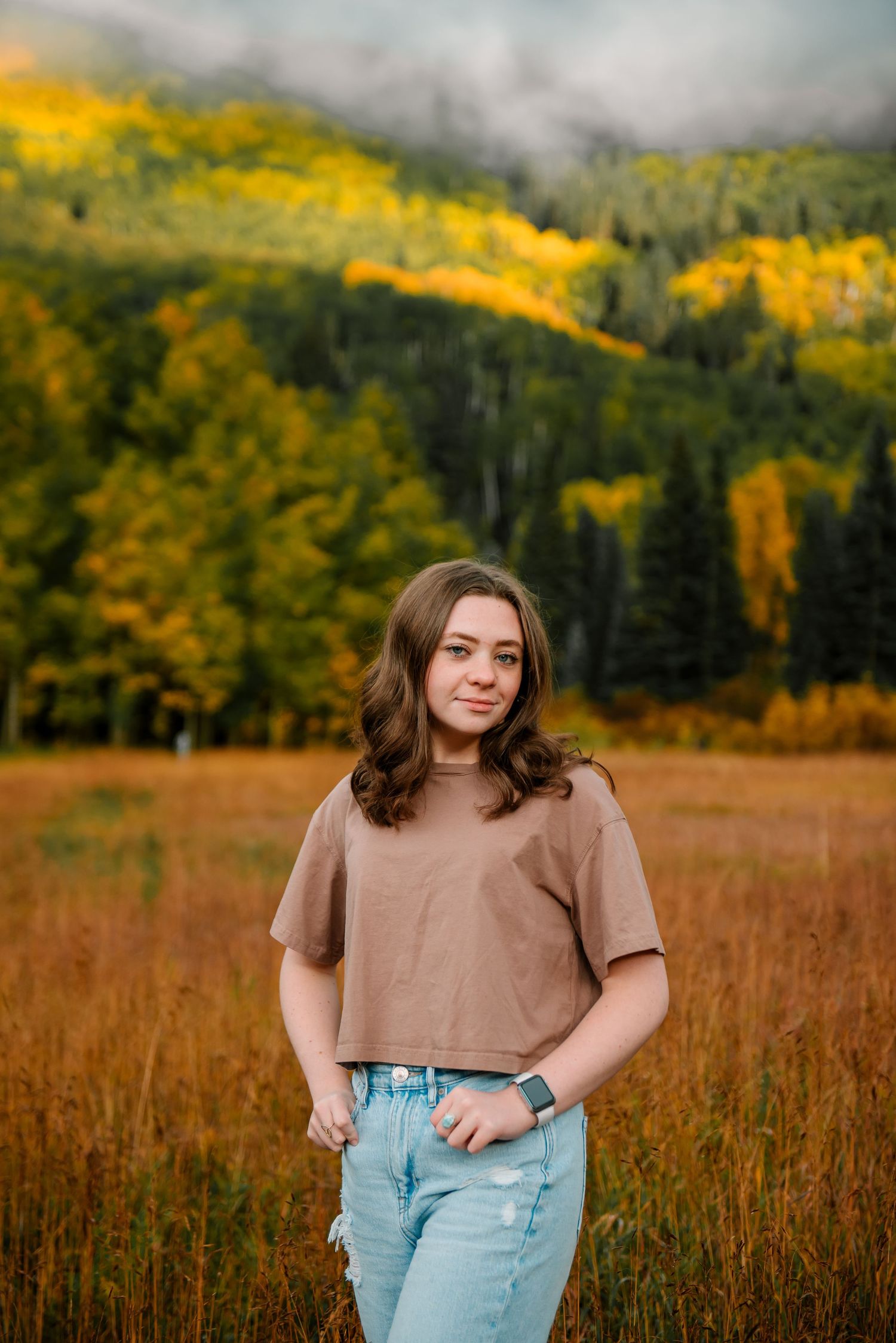 Misty mountain landscape with golden aspens and fall colors.