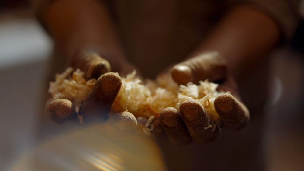 Close-up of hands working with wood shavings and tools.