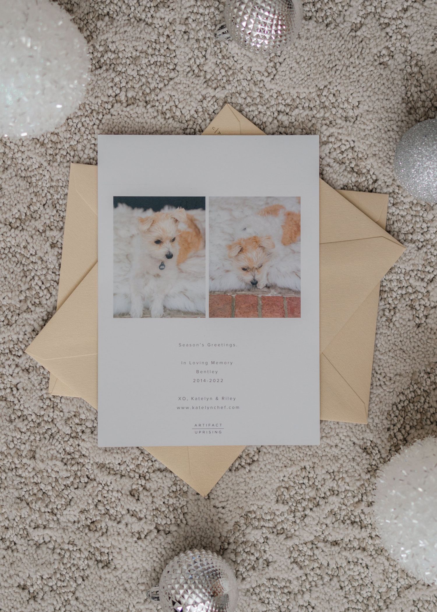 6 Christmas photo tips