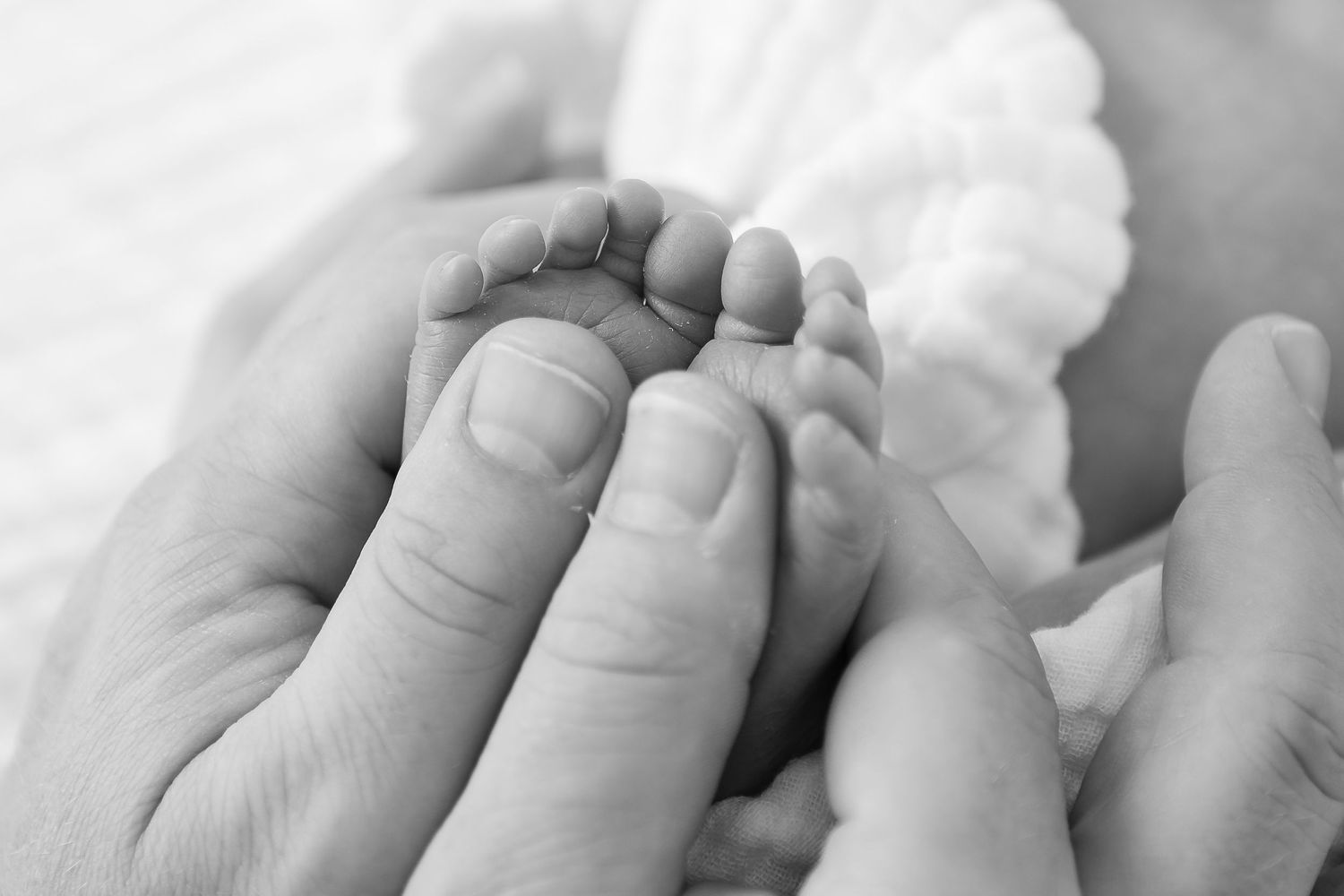 Close-up black and white photo of gentle hands holding tiny baby feet.