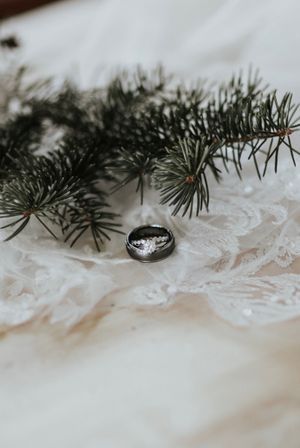 Rockford IL Catholic wedding photographer