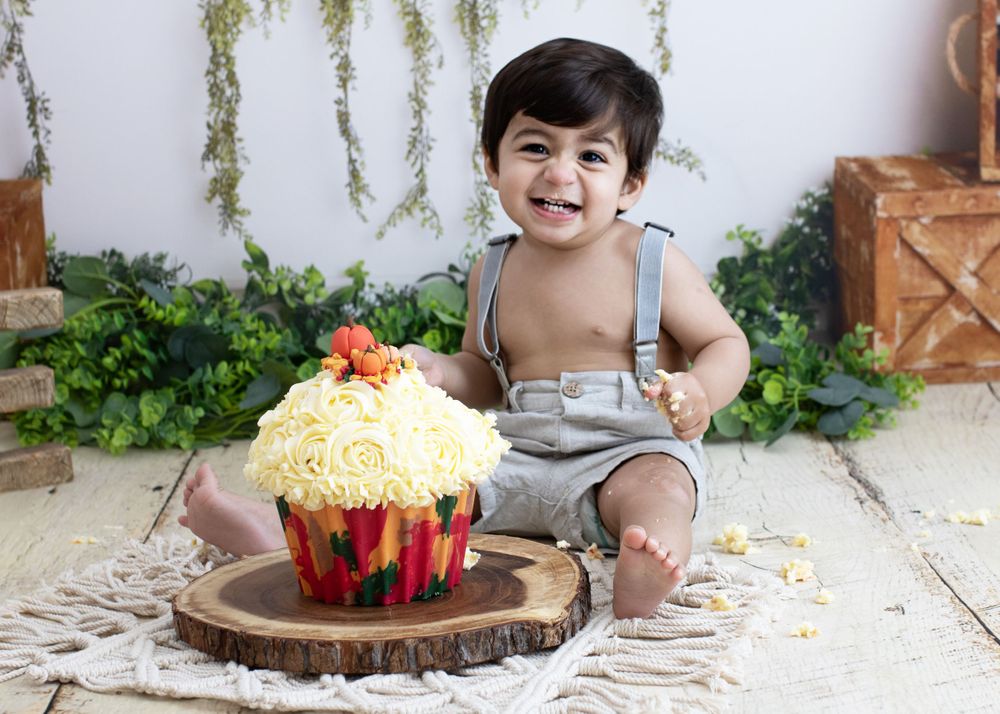 One Year Milestone Photographs - Cake Smash