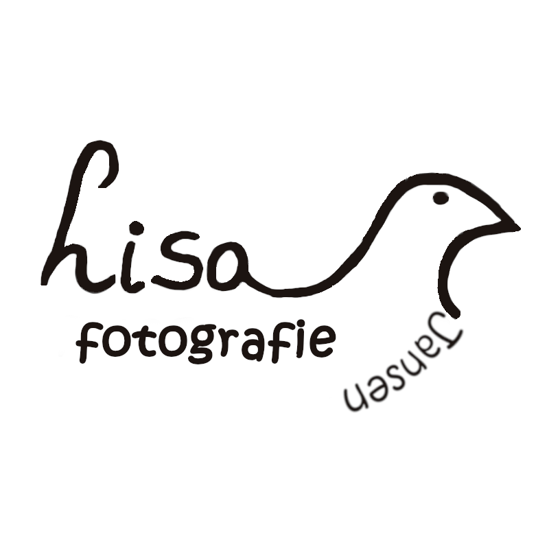 logo van lisa jansen fotografie de naam met een lijn in de vorm van een vogel