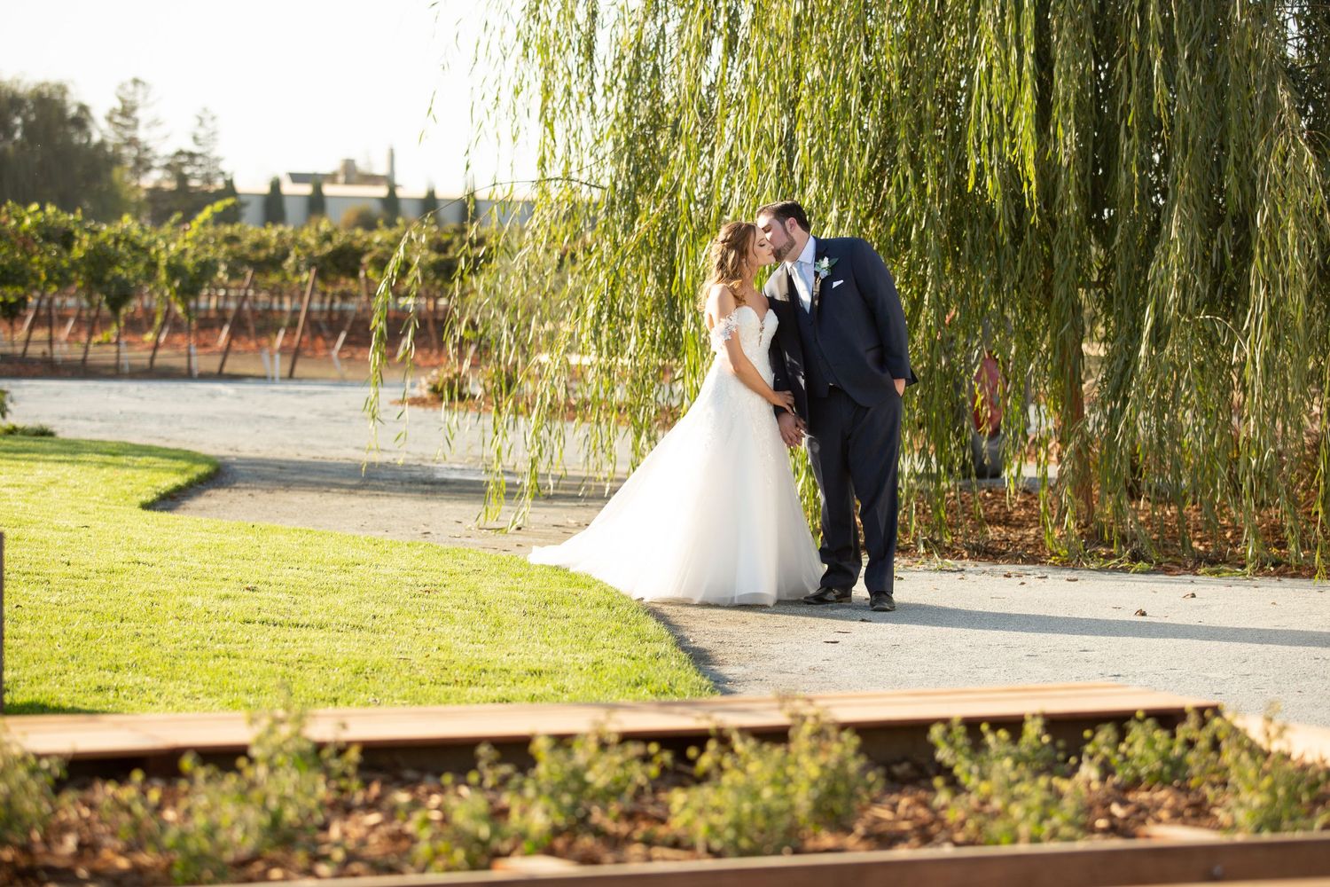 Wedding Couple Strolling in Serendipity Winery, Brentwood CA