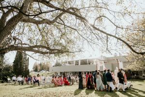 Wedding guests mingling on sunny lawn with building and blooming trees in background.