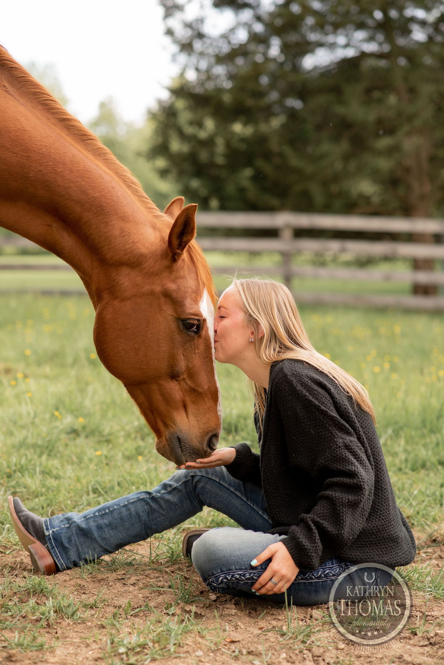 A tender moment between a chestnut horse and companion sitting in a grassy field.