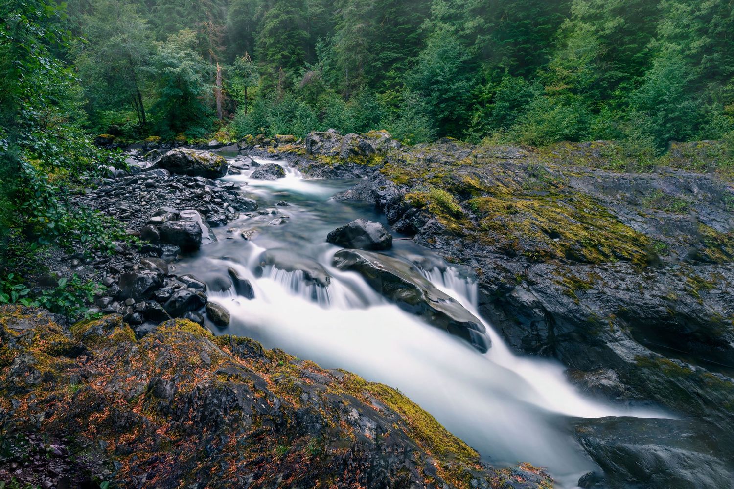 Long exposure photo of a river flowing through moss-covered rocks and forest in Washington, captured by Chris Cornish Photography.