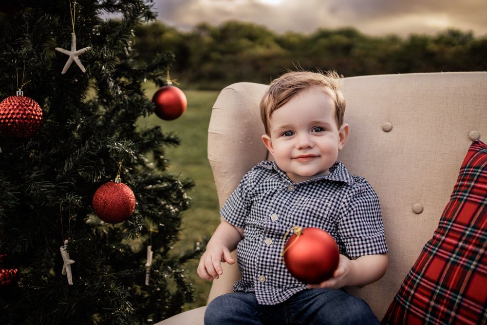 A decorated Christmas tree with red ornaments and presents on display in a natural outdoor setting.