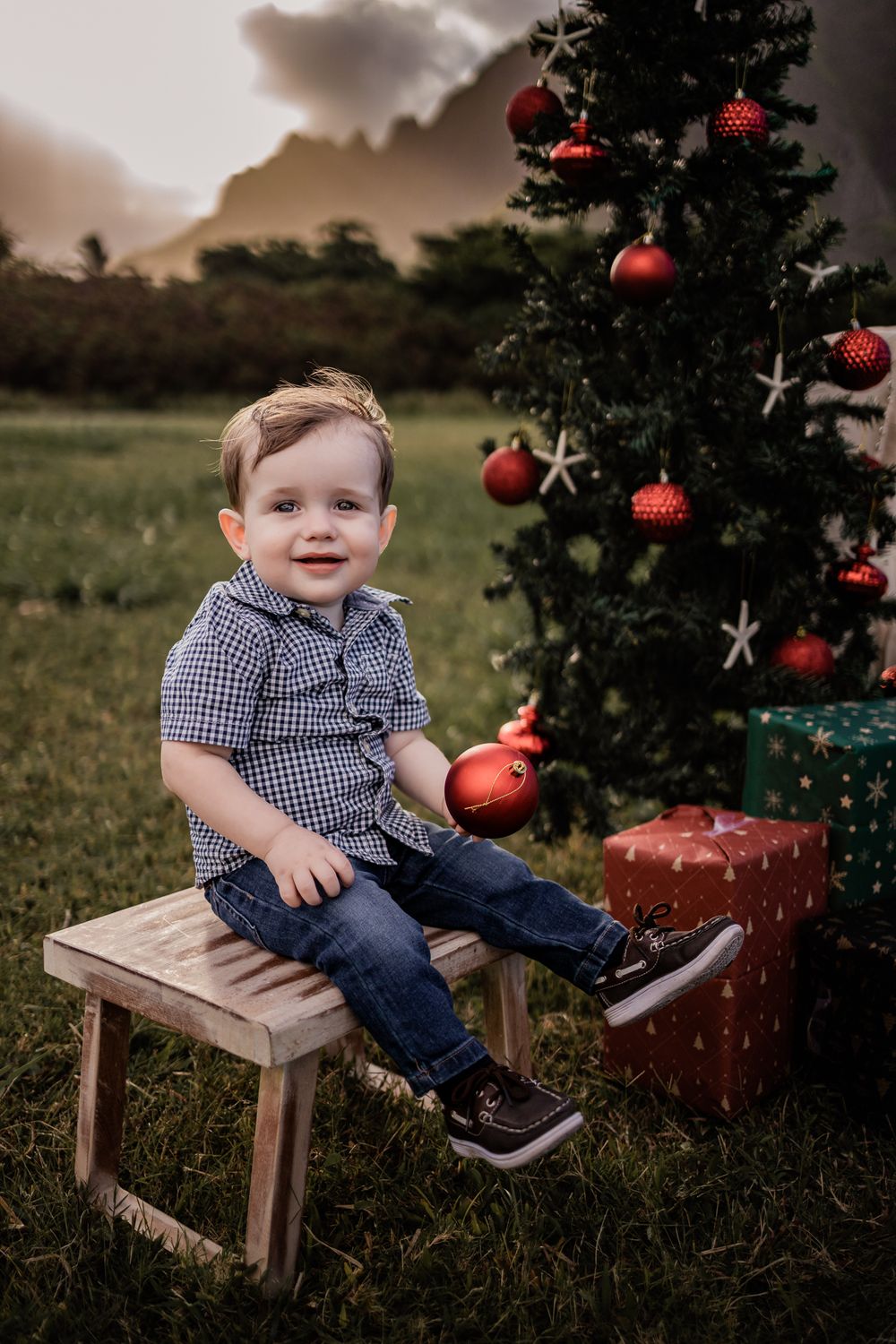A Christmas scene with a decorated tree, red ornaments, and wrapped presents on a wooden bench outdoors.