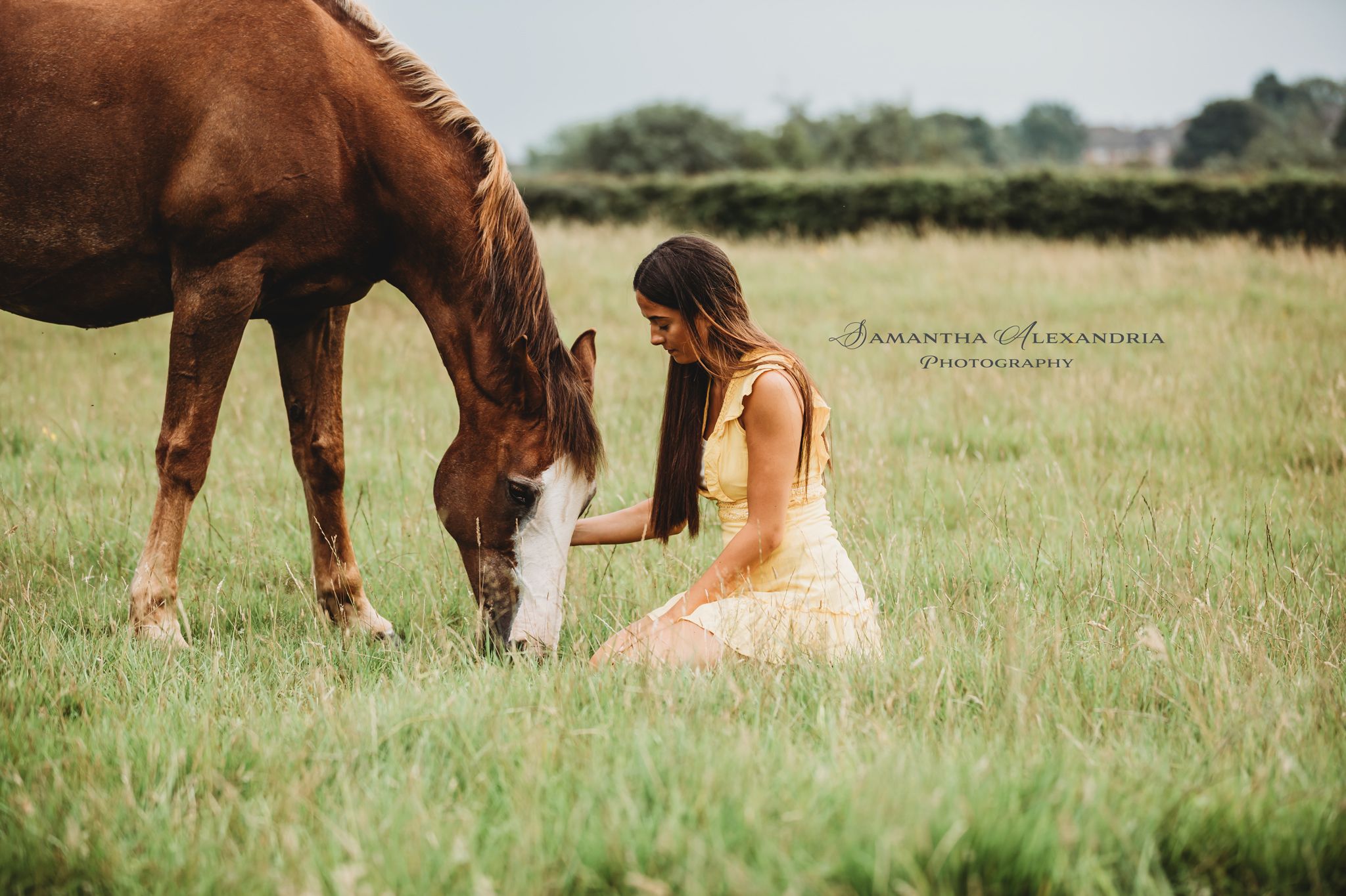 #horsephotoshoot