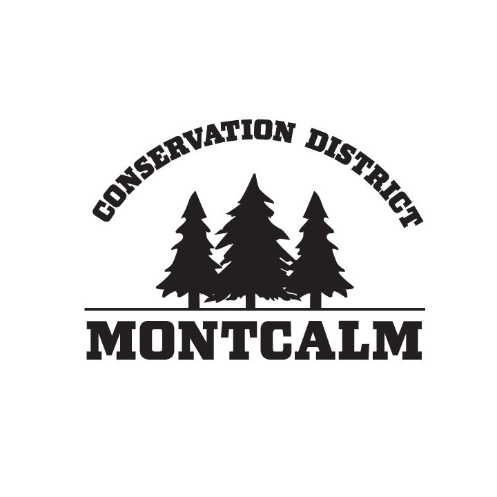 Professional Logo Designs