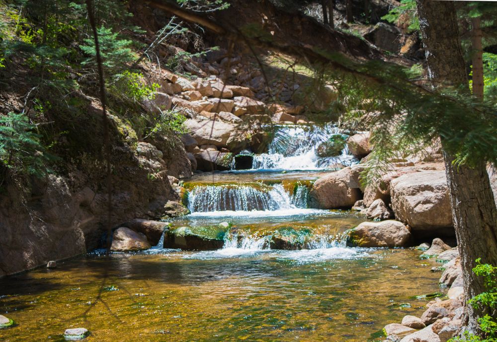 A series of small cascading waterfalls flow over rocky steps in a forest stream with golden-tinted water.