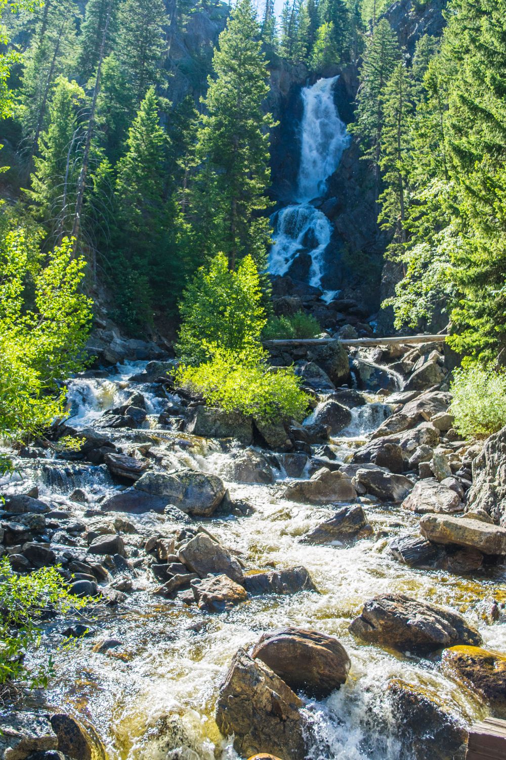 Cascading mountain waterfall flowing through rocky terrain surrounded by evergreen forest.