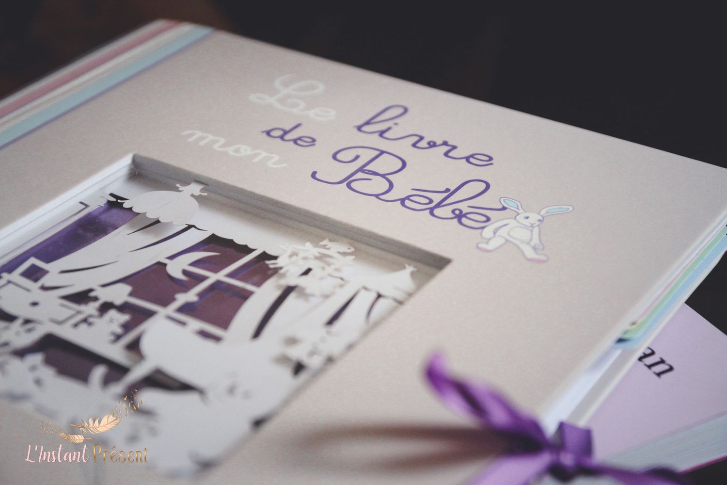 Séance photo Baby Shower