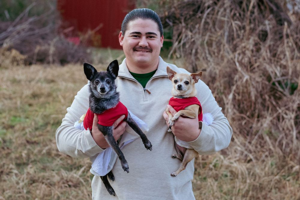 A man proudly showcases his two sweet chihuahuas, both in tutus