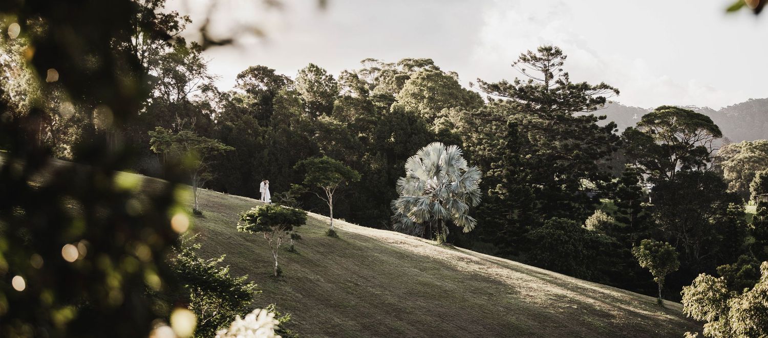 Landscape bride and groom embracing