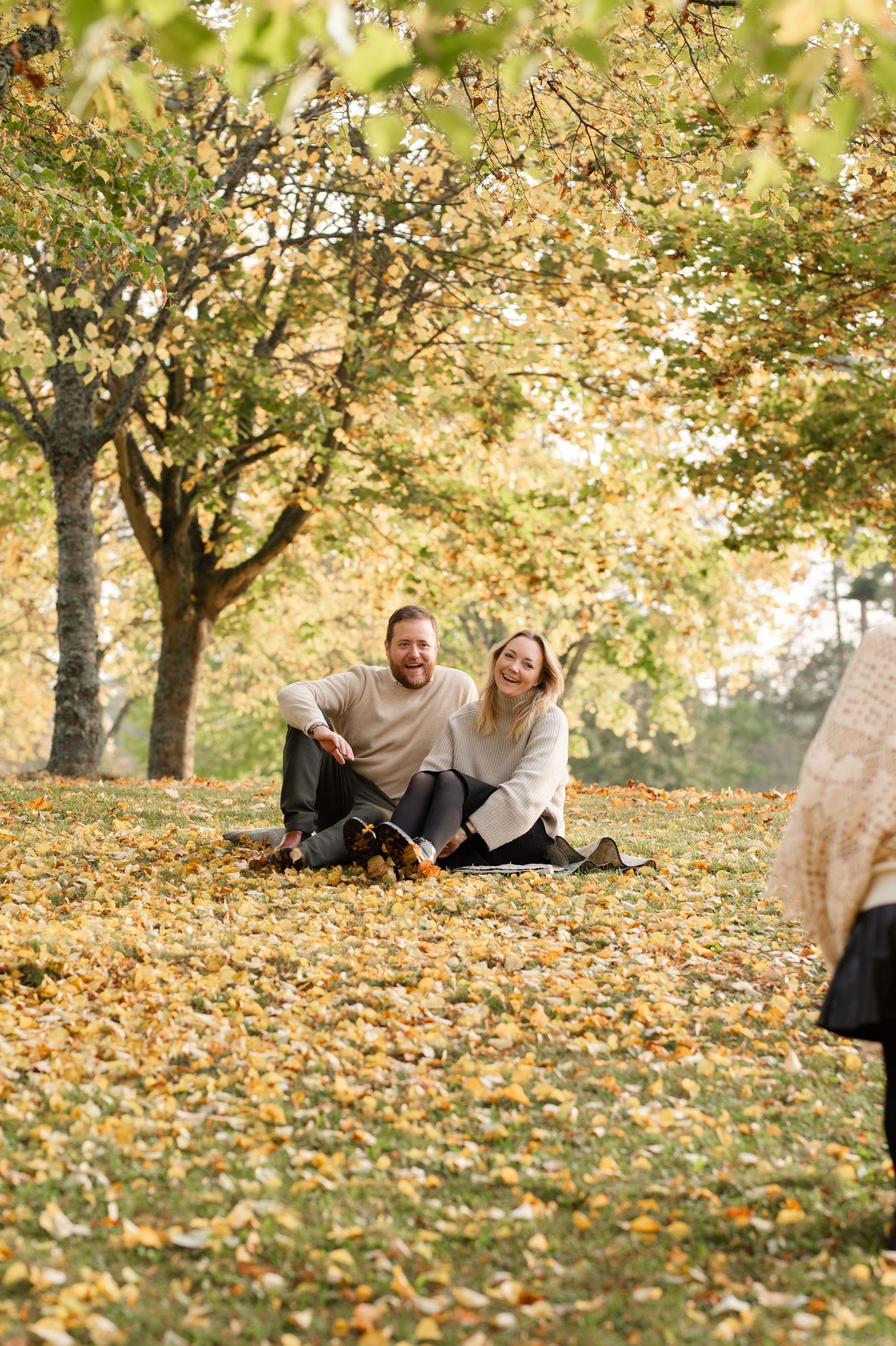 A couple laughs while sitting on fallen leaves in an autumn park.