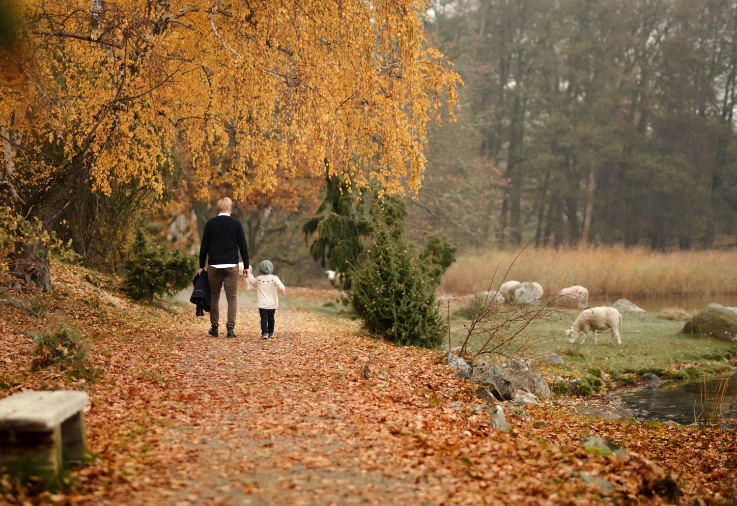 Two figures walk along a leaf-covered path beneath golden autumn trees.