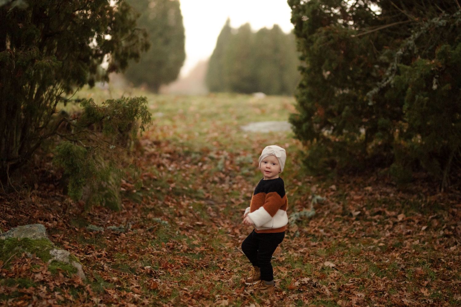A small figure explores a path between evergreen trees during fall.