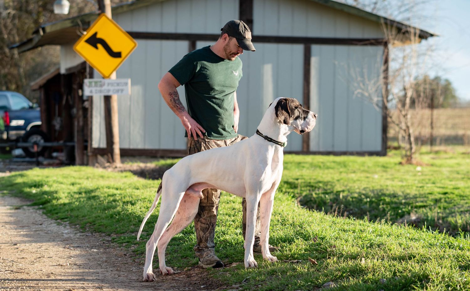 Man standing beside a tall white Great Dane dog on a rural farm path.