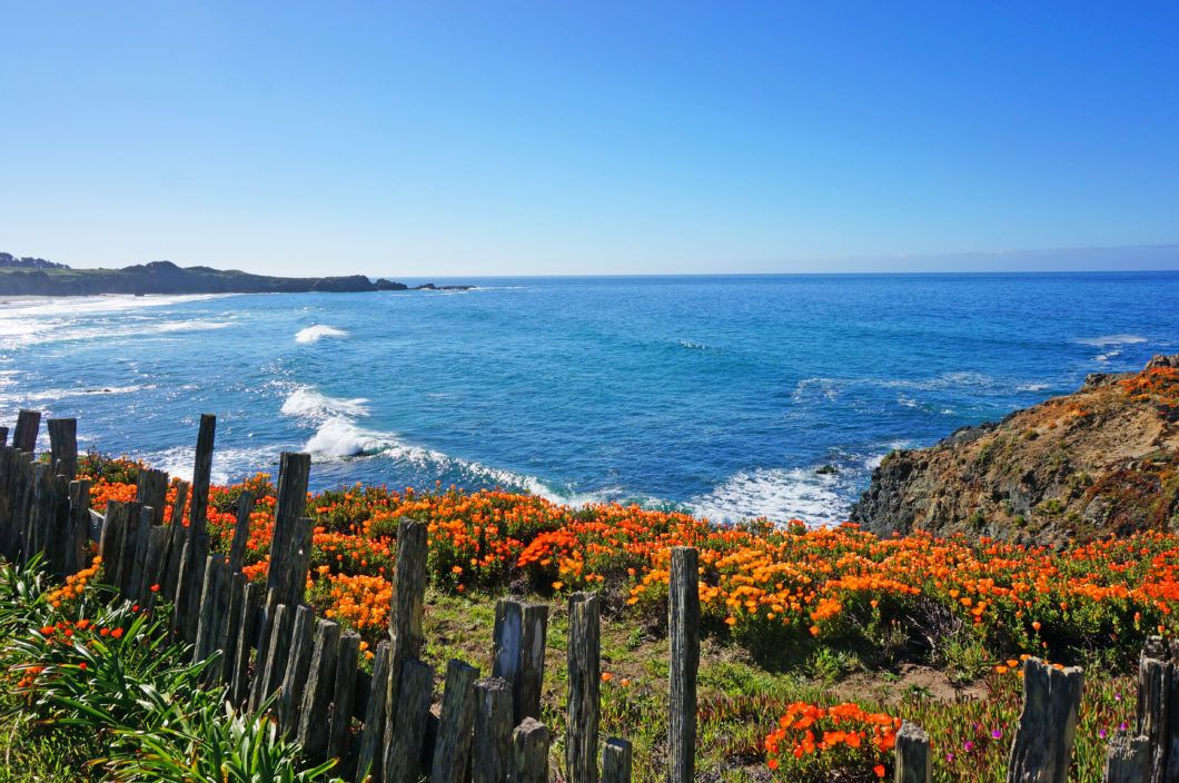 Black Point Trail at Sea Ranch, California
