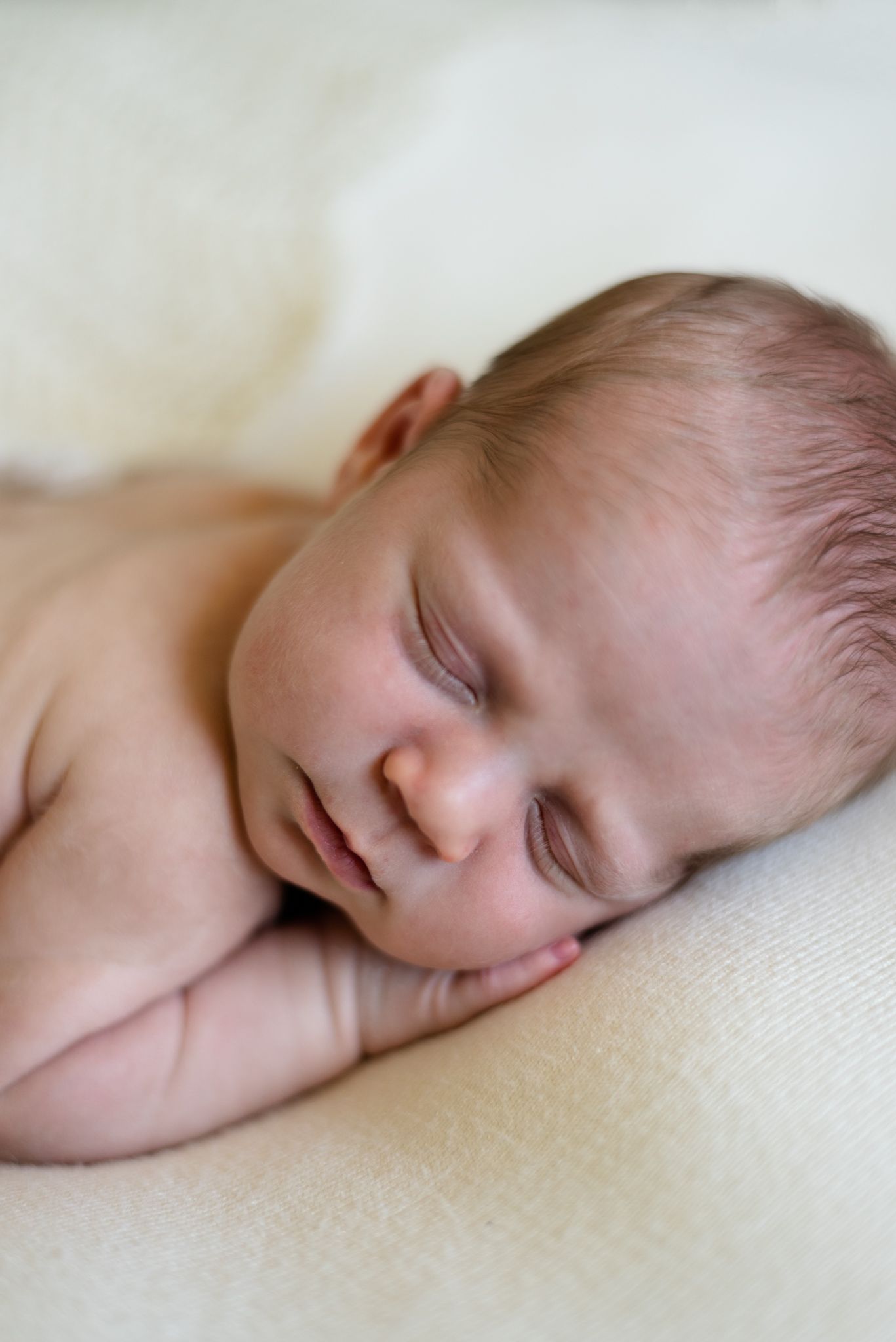 Peaceful sleeping newborn close-up portrait on cream background.