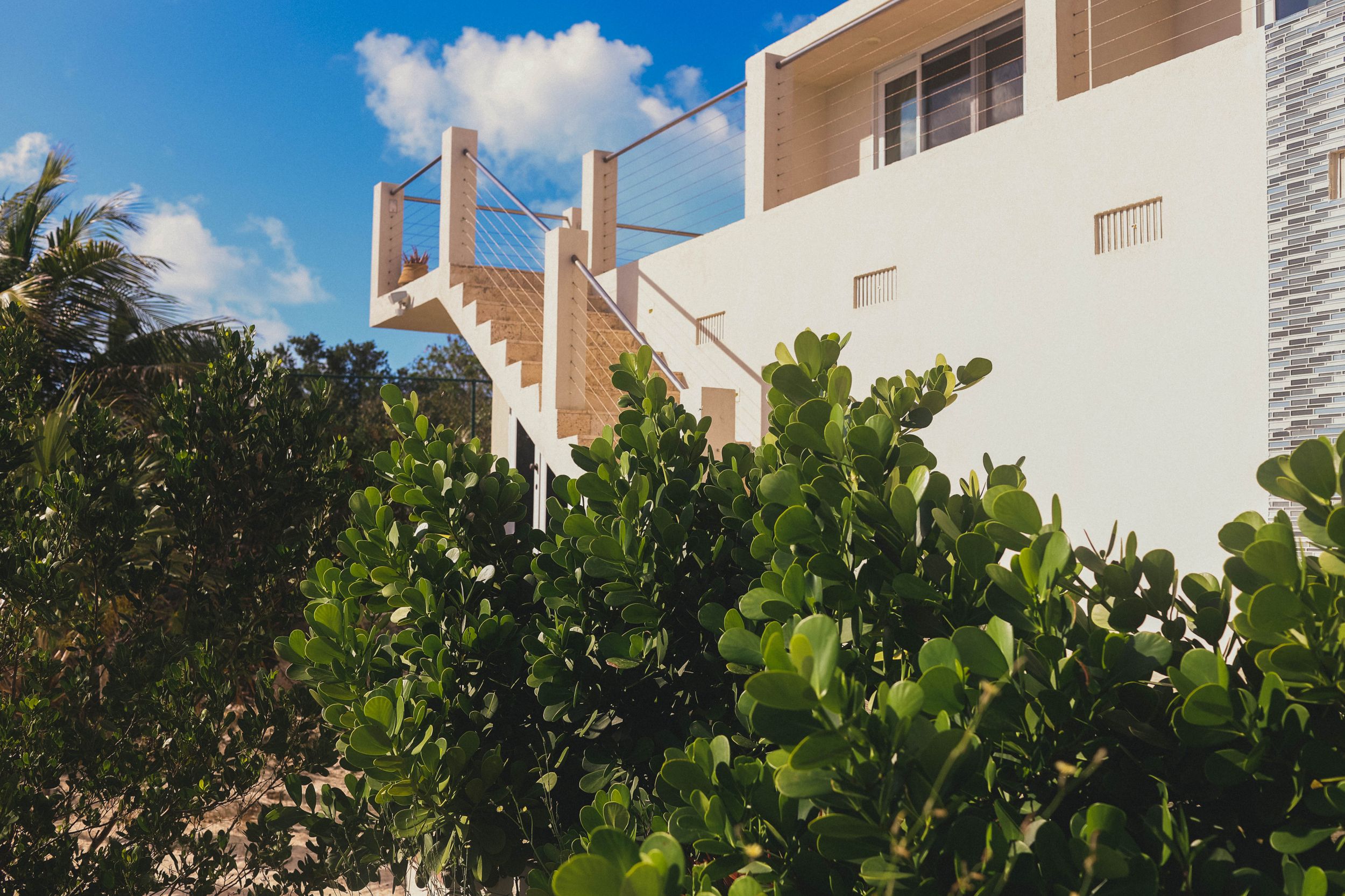 White modern buildings with tropical landscaping and palm trees against blue sky.