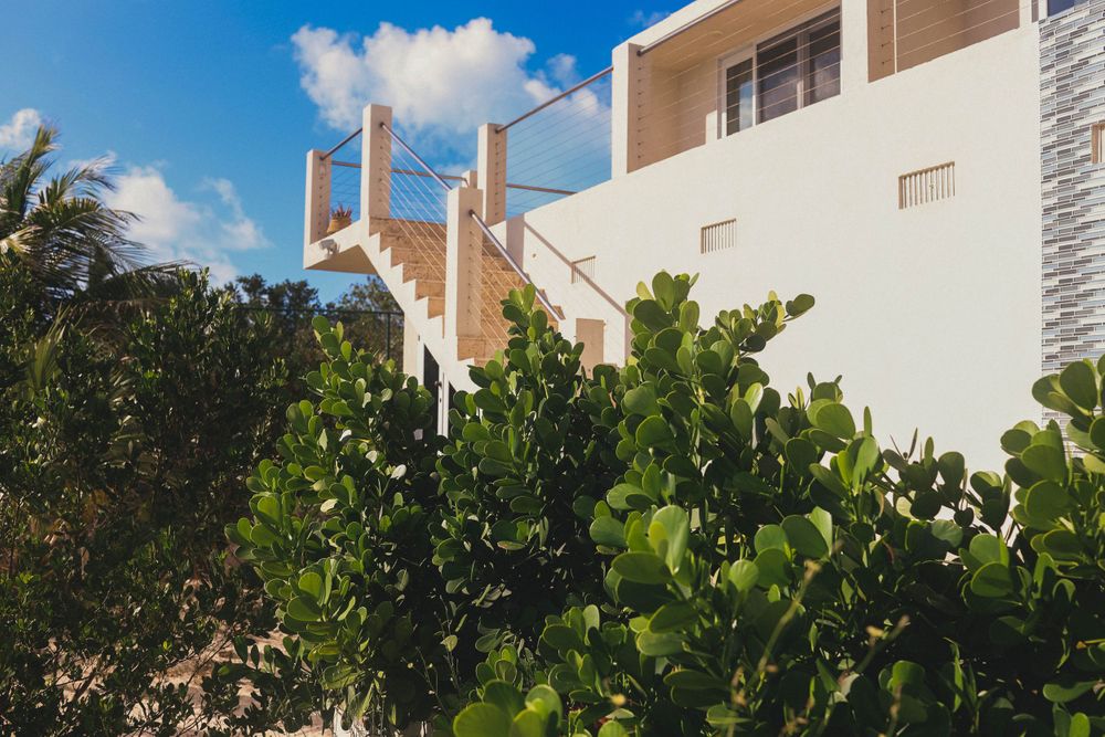 White modern buildings with tropical landscaping and palm trees against blue sky.