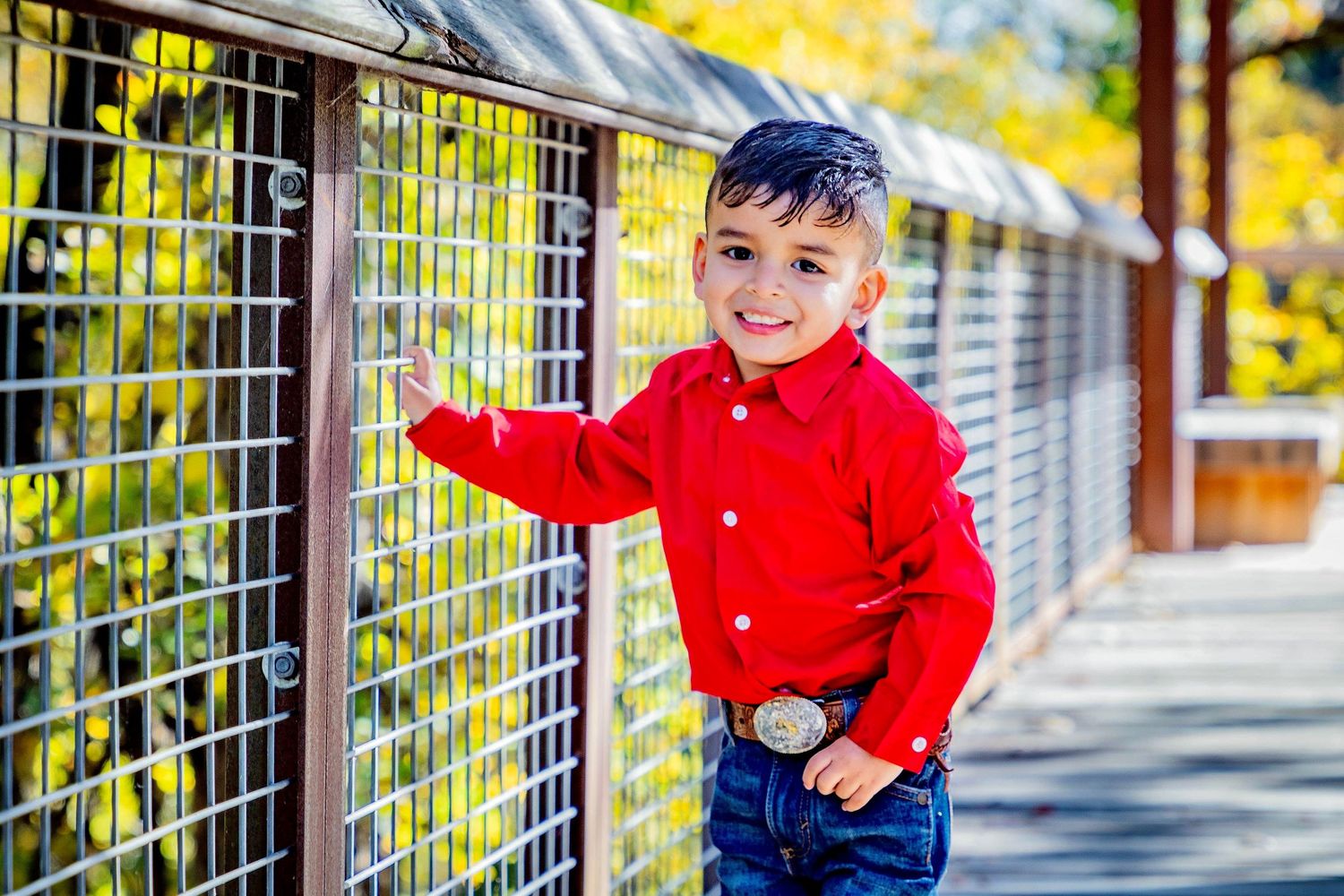 Mateo